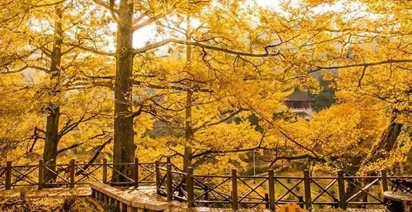 中國最低調的一個省，經濟增速全國第一，擁有多項世界遺產，全年美得無死角！