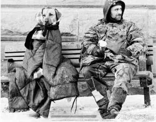 我们当它是伙伴，它却当我们是亲人，看到第6个我再也受不了了