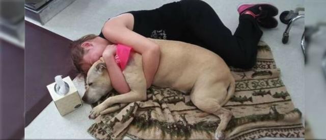 安樂死前，女主人帶著愛犬，體會生命中美好的最后一天！