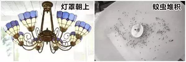 新房装修当初太固执！一连犯下33条装修错误，如今真的好后悔！