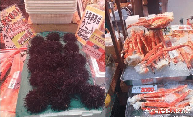 逛菜市场的那么惬意的事情，到了日本却傻了眼，分分钟怀疑人生！