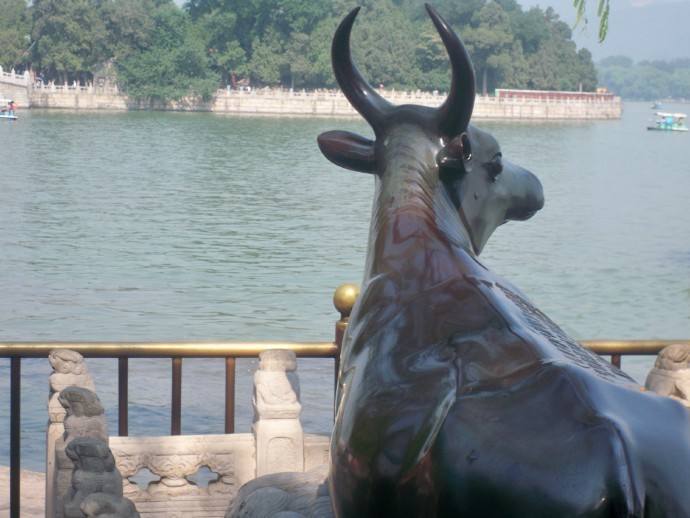 您所不知道的颐和园传说——昆明湖东岸的大铜牛