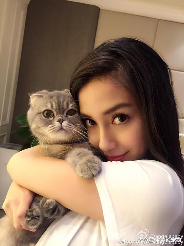 李冰冰竟然养活蜘蛛，曝光明星们的爱宠大集合！