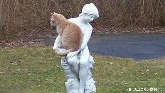 看着这些流浪猫躺在雕塑的手心里，心里莫名的一酸，好心疼