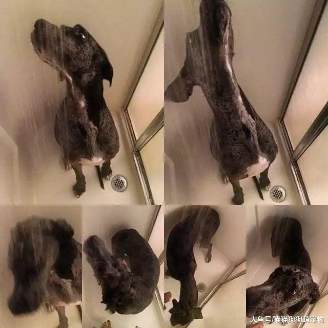 我是你無法擺脫的影子！