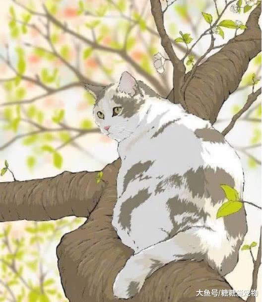 慵懒惬意的猫咪插画, 幸福得让人想哭, 不是多年的铲屎官体会不了