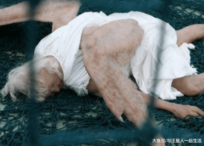 “坠落人间的天使”在香港被展览，引无数游客围观，真相令众人惋惜