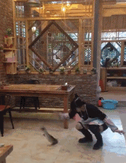 爆笑GIF：爱是一道光，绿到你发光，兄弟你的位置真是尴尬啊