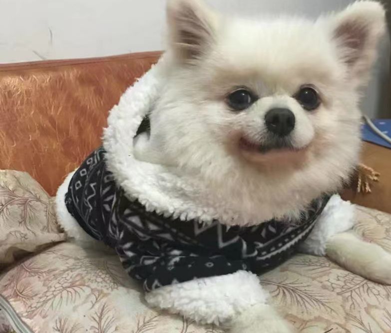 爱美的小白，已经成了生活不可缺少的一部分