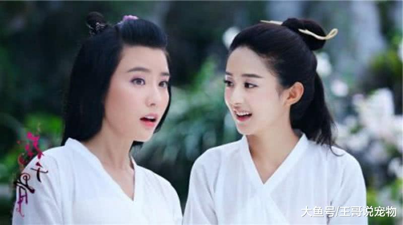 古装6对“反目成仇”的姐妹：第一对最可惜，最后一对成童年阴影