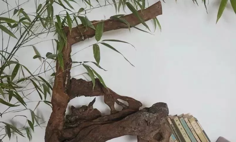 这才是茶室该有的样子，至极至美，极度舒适！