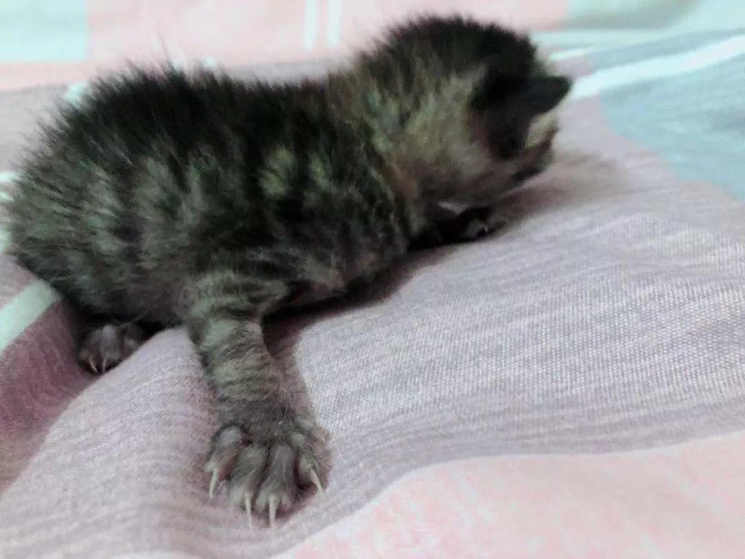 谁告诉你绝育之后就不能怀孕了？