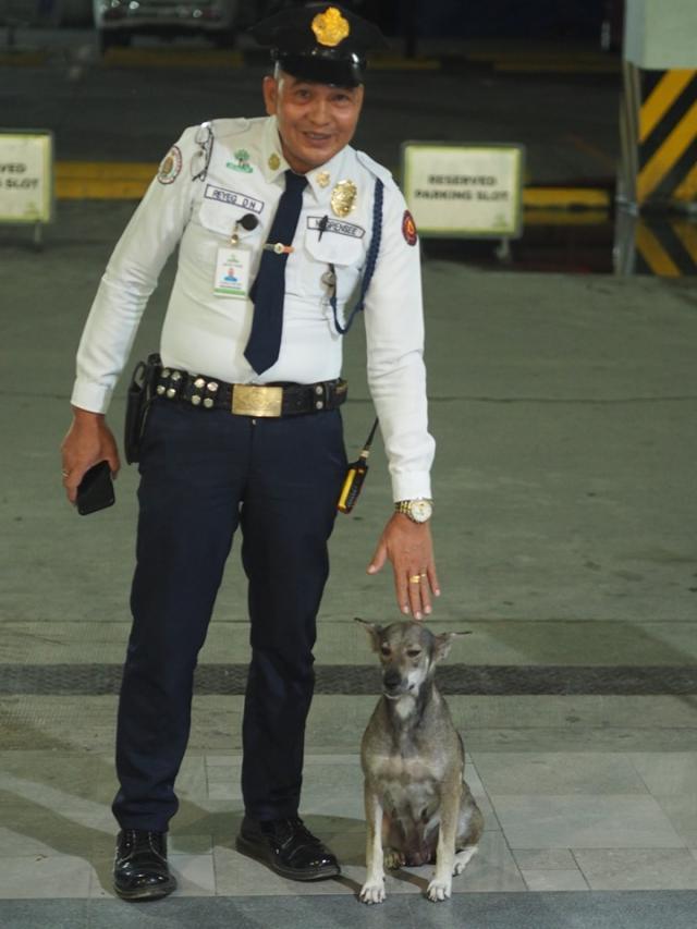 这家商场的保安竟是只流浪狗，只喂过一次，就自己来入职了！