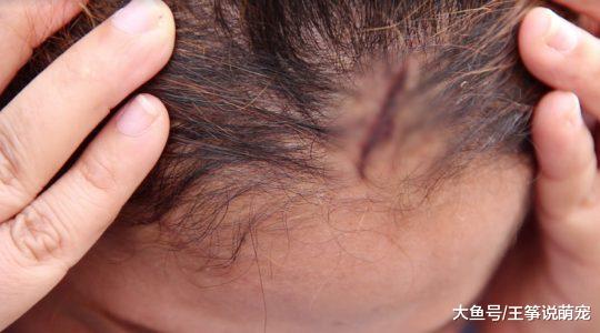 租屋给夫妻，离开后房东急找人发现整间红色线索
