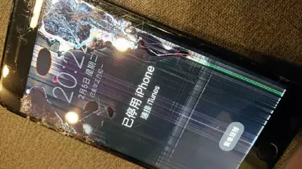 金毛送給主人的新年禮物，把主人給氣炸了……