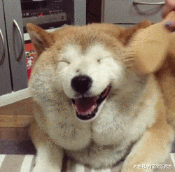 挨妈妈骂的你，内心毫无波动，甚至还想略略略