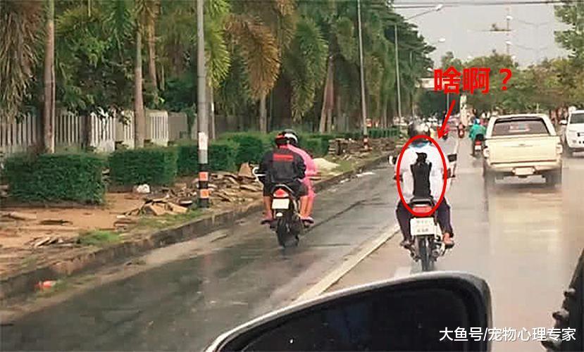 遠遠發現個騎摩托的小伙，身上的背包很特別，追上一看豎起大拇指