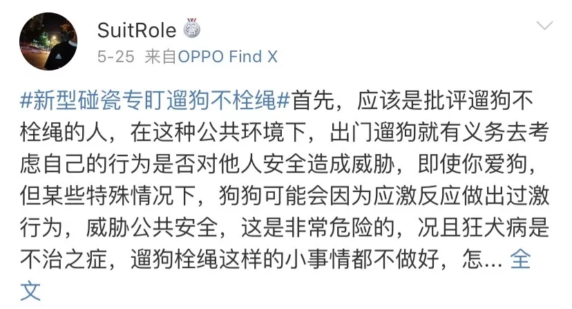 碰瓷界的跨物种专家：他只挑狗狗当对手