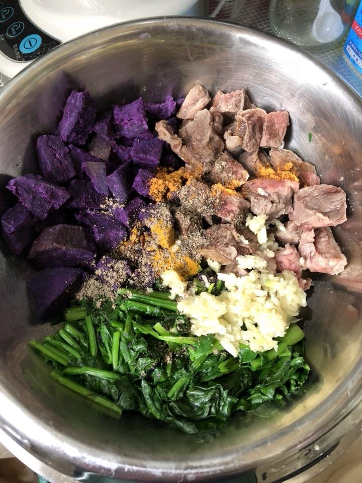 老金毛患淋巴癌，兽医告知还剩一个月，妈妈研读600页英文书救命