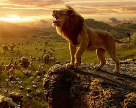 影讯丨票房十亿、暑期黑马、粉丝动漫——7月总有一部是你的pick！