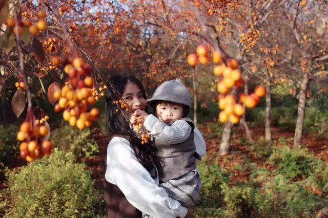 80后姑娘北漂多年，花5000元爆改破旧四合院，变8米loft为四房