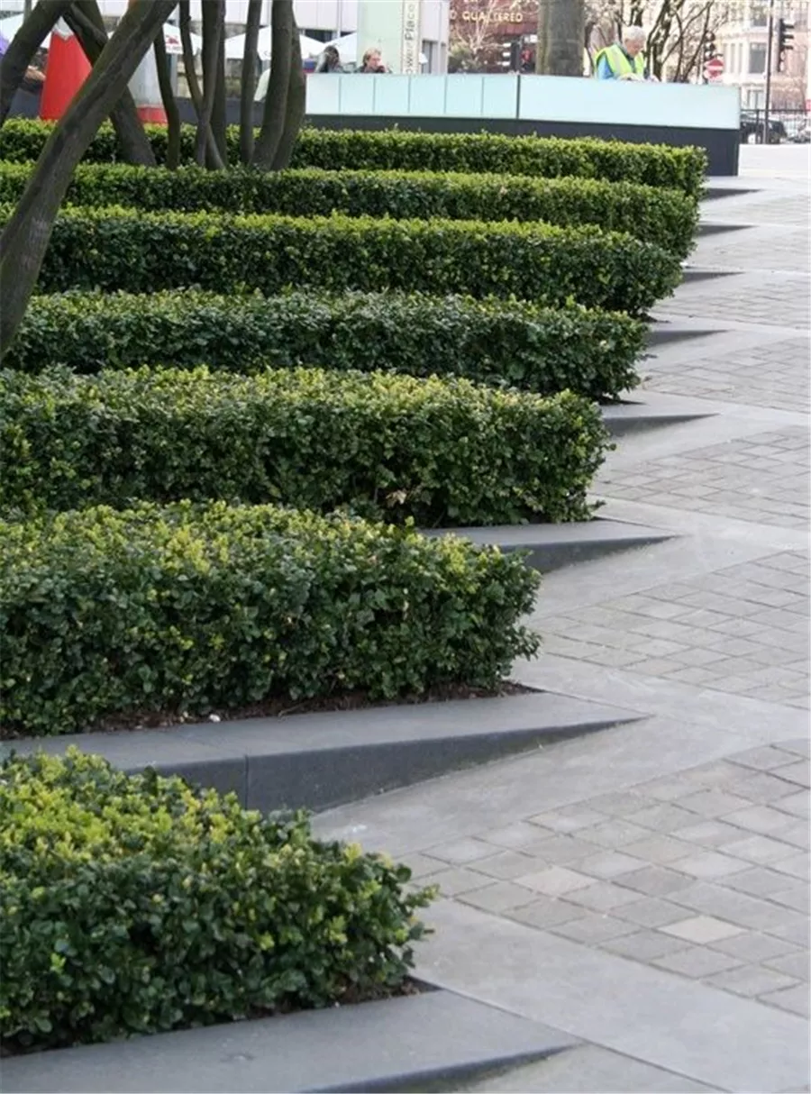 干货来袭！看硬景与软景的结合如何处理~