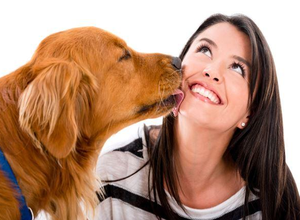 狗狗舔主人、舔自己、舔地板或者舔尿尿，都有不同的含义噢！