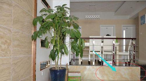 不做隔断，老公灵机一动将餐厅抬高“50公分”，完工后实用