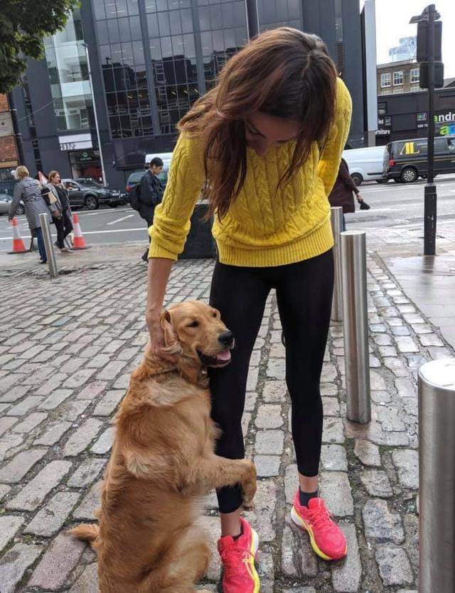 狗狗听到开零食的声音，把头挤到变形伸长舌头：给我吃一口