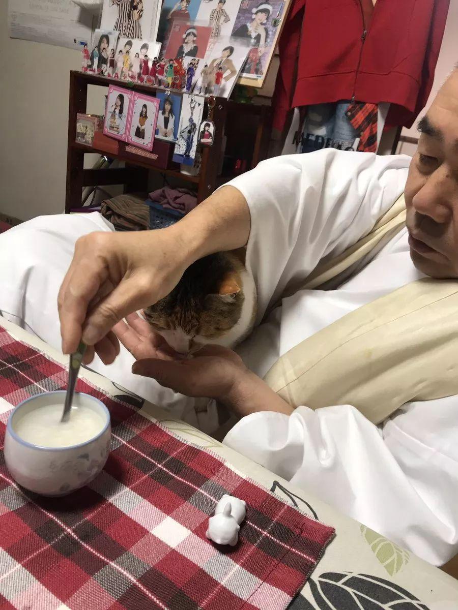 每次吃饭都会被喵星人围观的住持爷爷，喵咪陀佛~