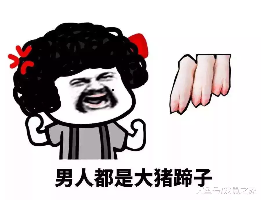 簡直逆天，生娃這種事，倉鼠媽媽一鼠就能搞定