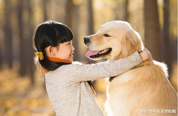 来自养狗新手的困惑：合适自己的狗狗该怎么选择？