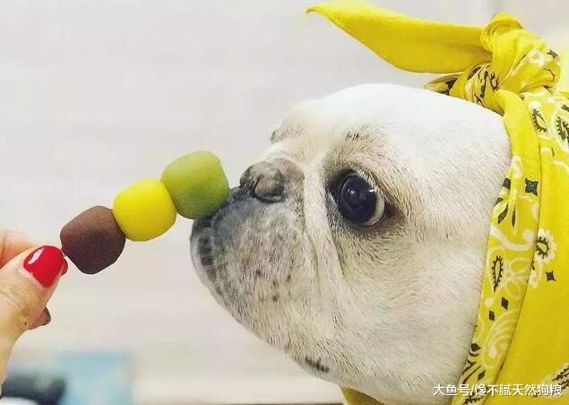 法牛不吃狗粮，也能吃的5种食物，坚持吃营养会更均衡！