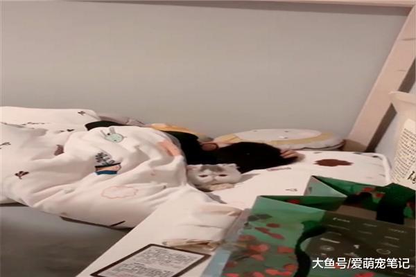 网友睡觉时去给女儿关灯，看到她被窝里的加菲猫后，心都被融化了