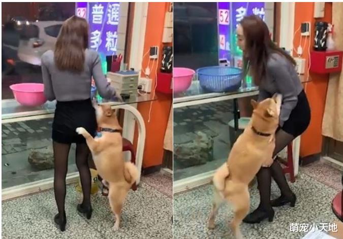 痴汉柴见短裙黑丝辣妹起色心！袭臀紧抱狂督，她害羞逃跑