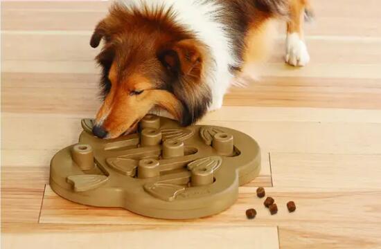 给狗狗买了一堆新玩具，我们该如何确认，哪些玩具都是不安全的