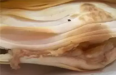 來西安之前 就知道這里是饃都