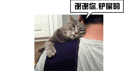 昨晚地震，铲屎官第一反应：抱着猫狗一起跑！不过姿势错了……