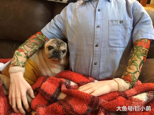 狗狗病态的爱，离开主人就紧张焦虑，怎么让狗狗乖乖呆在家？