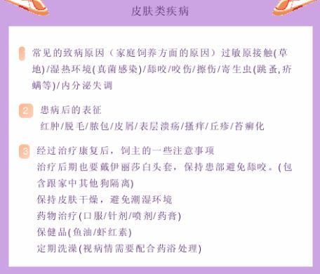 怎么養狗不生病？別買一針疫苗狗，少喂骨頭，買除濕機多梳毛