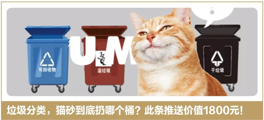 昨晚地震，铲屎官第一反应：抱着猫狗一起跑！不过姿势错了……