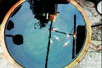 说起困水，自来水中就没有氯气，等到洗棉就要用到原缸水，何解？