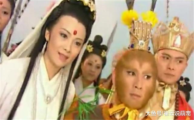 无天为何在燃灯面前自称小僧，对其毕恭毕敬，而不直接杀了他？