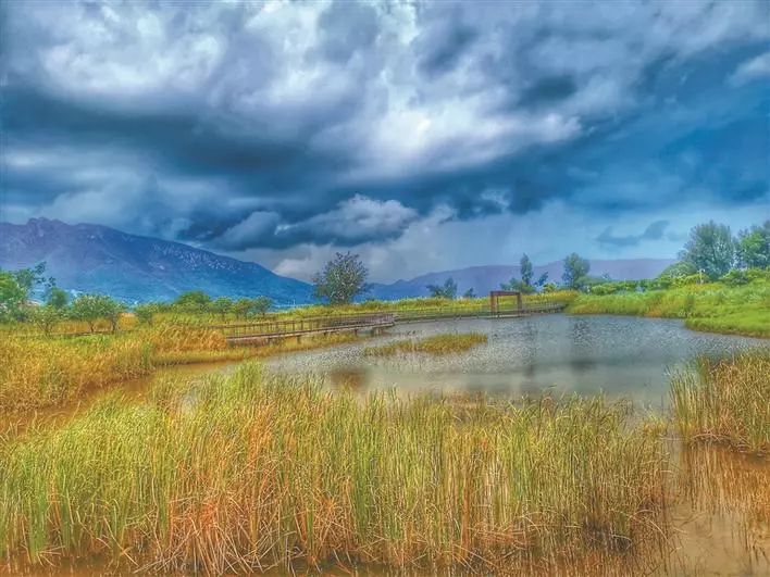 建设深圳最大面积“海绵城市”，这个核心区首批15个项目建设完工！