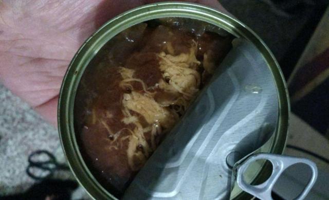 猫咪口炎易与牙周病混淆，正确分辨两者后，才能针对病情合理治疗