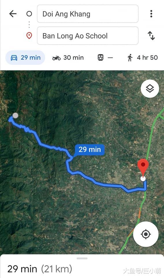 不知自己被弃养，忠犬傻傻相信主人会回来，徒步21公里回失联地