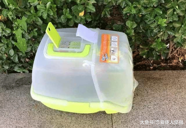 流浪猫被姑娘捡到养了一个星期之后再次丢弃，志愿者看到纸条后沉默了