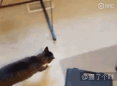 是你自己选的困难模式，不怪我