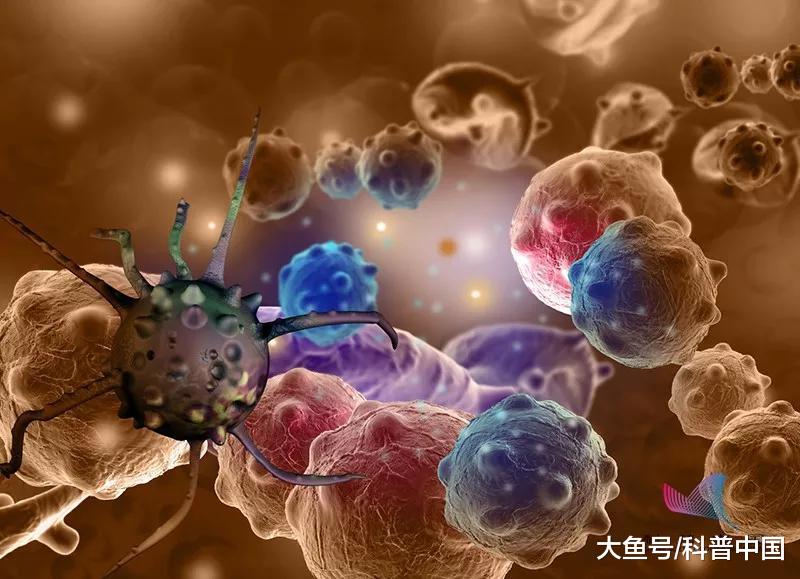 人人都有癌细胞，但不是人人都患癌！关键就在这8个字