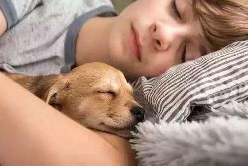 想知道狗狗是爱你还是讨厌你? 看它睡在哪里就知道了!